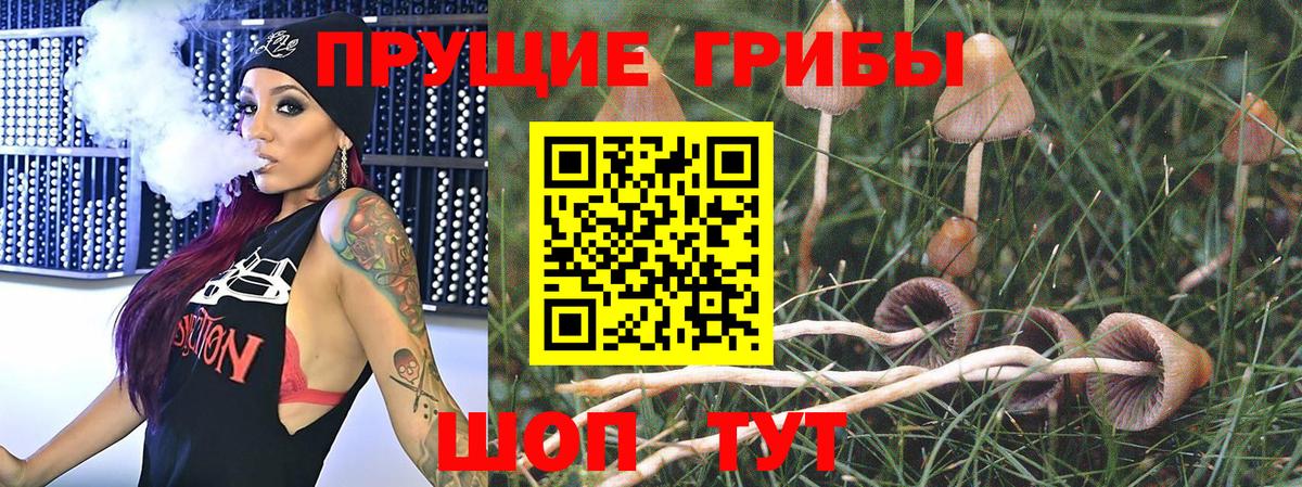 Туапсе  Псилоцибиновые грибы прущие грибы  Вход с VPN  Псилоцибиновые грибы Psilocybine cubensis 
