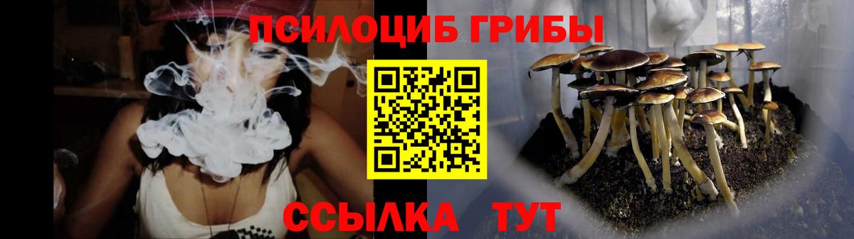 Псилоцибиновые грибы прущие грибы Туапсе
